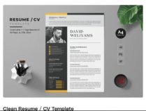 Resume Template