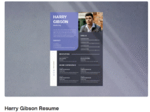 Resume Template