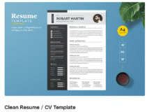 Clean Resume / CV Template