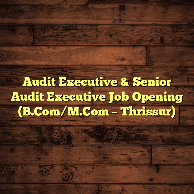 Audit Executive & Senior Audit Executive Job Opening (B.Com/M.Com – Thrissur)