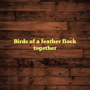 Birds of a feather flock together