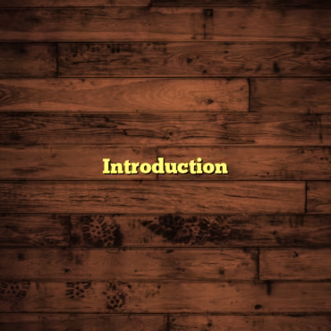 Introduction