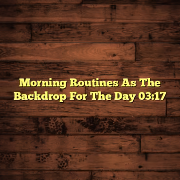 Morning Routines As The Backdrop For The Day 03:17