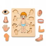 Body Part Puzzle Kids Wooden Toys for Kids 3 + Jigsaw Puzzles for Adults Baby Learning Toys Educational Toys Game for Learning Human Body Parts Anatomy Skeleton – Gift Toys for Boy and Girl