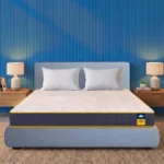 Centuary Mattresses Sleepables | 7 Years Warranty | 5-Inch Queen Size Dual Comfort Hard and Soft Reversible Roll Pack High Resilience (HR) Foam Mattress (78x60x5)