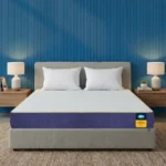 Centuary Mattresses Sleepables 8-Inch Queen Size Orthopedic Memory Foam Back Support Pressure Relieving Roll Pack High Resilience (HR) Foam Mattress | 10 Years Warranty | (72x60x8)