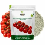 Cherry Tomato Red 50+ Vegetable Seeds for Home Garden