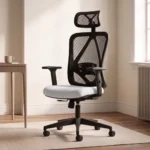 DROGO Ergonaut Ergonomic Office Chair for Work from Home | Computer Chair with 2D Headrest, Armrests & Adjustable Lumbar Support | Breathable Mesh with 120° Recline, 1-Year Warranty (Black & Grey)