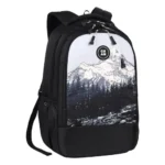 Gear Alpine 19″/39L Large Water Resistant School Bag/Casual 4 Compartment Backpack/Daypack/Travel 4 Compartment Backpack/Kids Bag for Boys/Girls (Black-Grey)