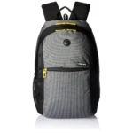 Gear Basic 19 Ltrs Classic Grey Casual Standard Backpack (Bkpecono10412)