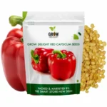 Red Capsicum 20+ Vegetable Seeds for Home Garden