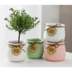 Yo Green Ceramic Plant Pot for Indoor & Outdoor, Modern Planter for Home & Office Decor, Durable, Stylish Finish, Ideal for Tabletop, Shelf, Balcony, Great Gift Idea (Set of 4, 4 Inches)